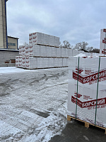 Газобетон БОРСКИЙ D500 B2.5 600х100х300